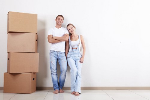 Man with van vehicle ready for a local move in Maze Hill
