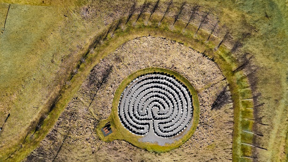 An aerial view of a circular hedge maze surrounded by open grassy fields and a line of evenly spaced trees along the outer edge. The maze features a central spiral pattern with white and black hedges, creating a distinct contrast against the green grass pathways. The surrounding area appears to be part of a park or landscaped area with minimal structures visible. The natural lighting indicates daytime, with shadows cast by the trees and maze walls. This image captures the layout and design of a garden maze, suitable for demonstrating outdoor landscaping or recreational features related to property and grounds management, which may be relevant for house removals or relocation services provided by Man with Van Maze Hill.