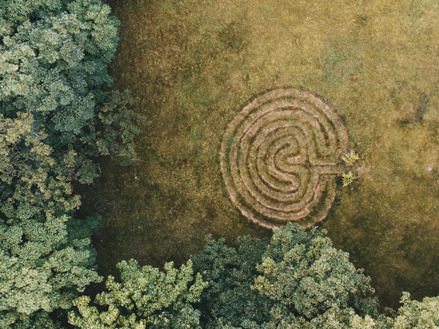 Aerial view of a circular labyrinth maze constructed from trimmed grass and soil on a flat, open green lawn surrounded by dense trees with lush, green foliage in Maze Hill. The maze features a series of concentric paths forming a spiral pattern with a small entrance on one side, situated near the center of the grassy area. To the right of the maze, a single small tree stands within the open space. The scene is illuminated by natural daylight, and no moving or packing equipment is visible, suggesting a peaceful, outdoor environment suitable for home relocation and furniture transport planning, as highlighted on the Maze Hill moving map page of Man with Van Maze Hill.