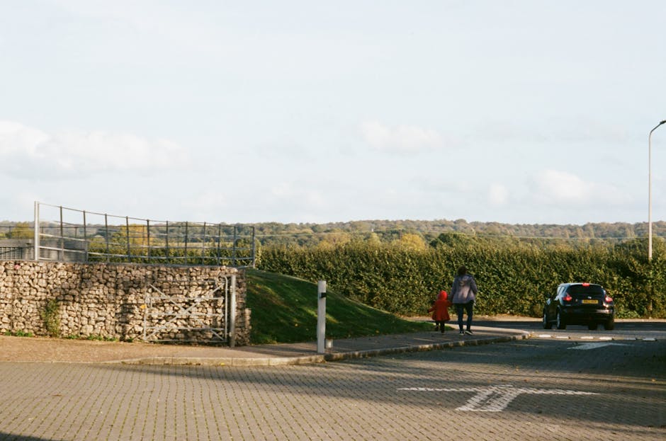 An aerial view of a circular hedge maze surrounded by open grassy fields and a line of evenly spaced trees along the outer edge. The maze features a central spiral pattern with white and black hedges, creating a distinct contrast against the green grass pathways. The surrounding area appears to be part of a park or landscaped area with minimal structures visible. The natural lighting indicates daytime, with shadows cast by the trees and maze walls. This image captures the layout and design of a garden maze, suitable for demonstrating outdoor landscaping or recreational features related to property and grounds management, which may be relevant for house removals or relocation services provided by Man with Van Maze Hill.